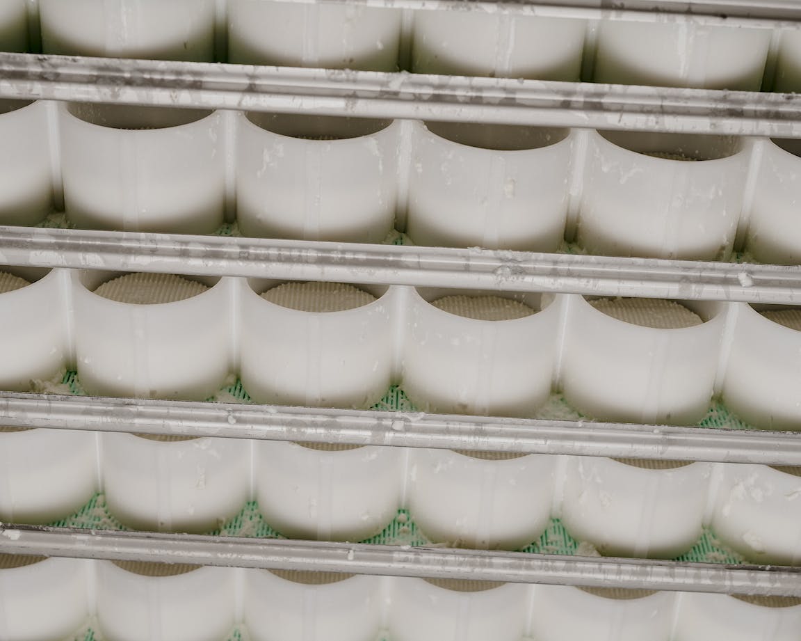 Shelves of many soft cheeses.